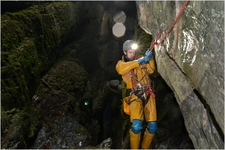 Thumbnail of photo from this article